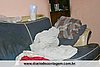 IMG_8350.jpg