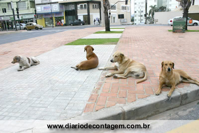 IMG_2954.jpg