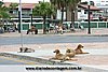 IMG_2947.jpg