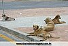 IMG_2948.jpg