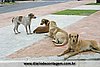 IMG_2952.jpg