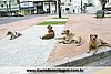 IMG_2954.jpg