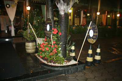 Foto -  Marcio Bonfim (301).jpg