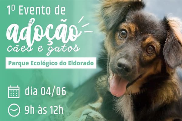1º Evento de Adoção de Cães e Gatos no Parque Ecológico do Eldorado