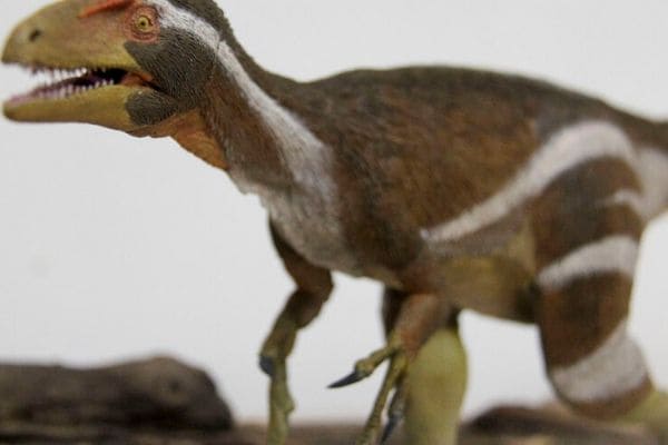 Pesquisadores apresentam fóssil de dinossauro encontrado no Ceará