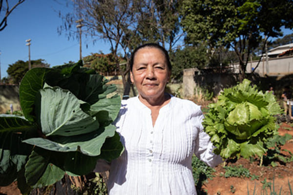 Hortas comunitárias produzem alimentos saudáveis e geram renda