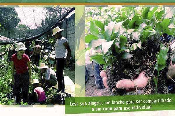 Boi Rosado Ambiental realiza evento em prol da plantação de árvores