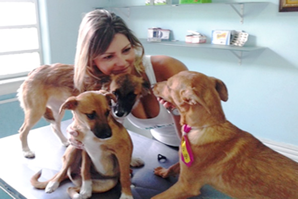ONG Cãopartilhe procura lar para cães e gatos 