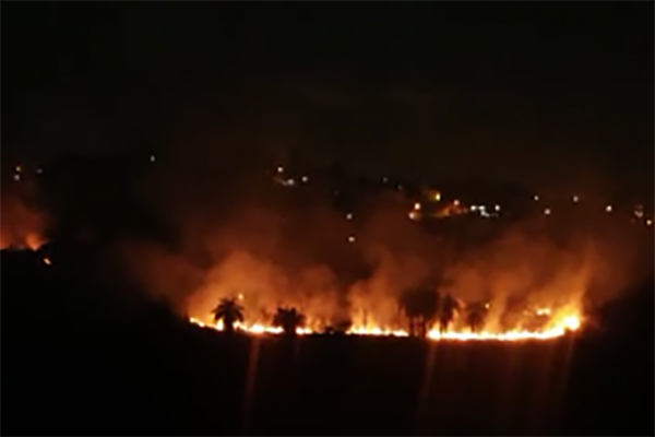 Incêndio destrói mata no bairro Europa