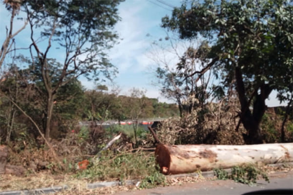 Desmatamento em Contagem: Crime ambiental deixa comunidade indignada