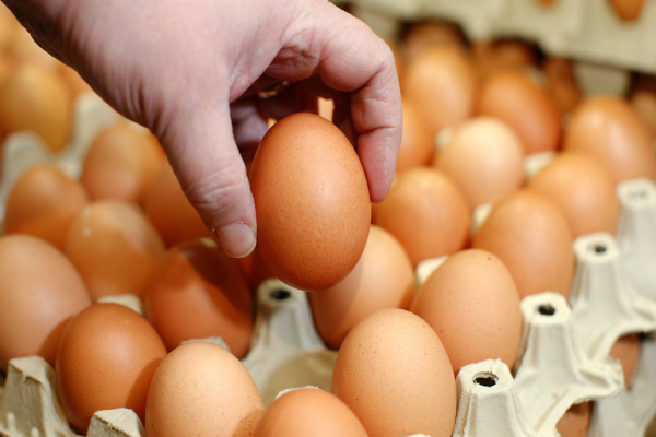 Quaresma tem preço do ovo estável na CeasaMinas