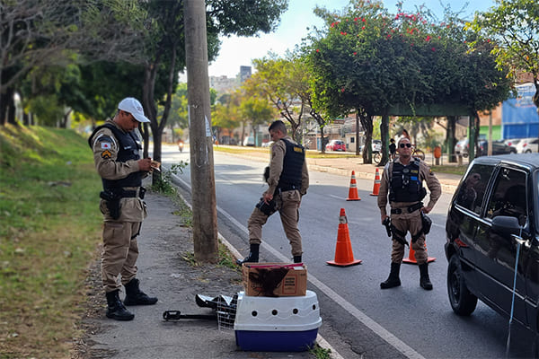 Polícia Militar Rodoviária de Minas Gerais realiza blitz truculenta em Contagem