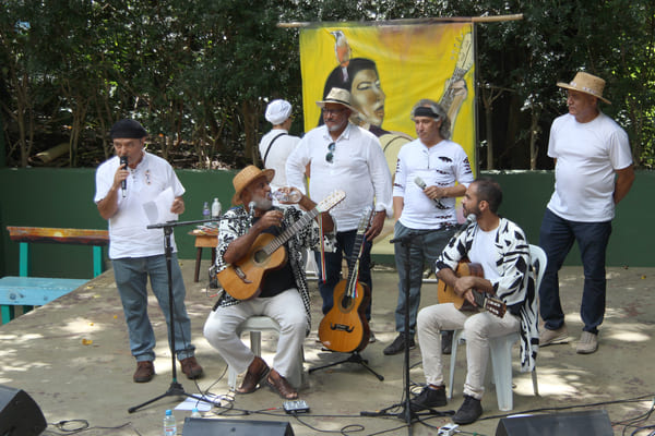 Festival Viola Orgânica encanta o público no Parque Ecológico Eldorado 
