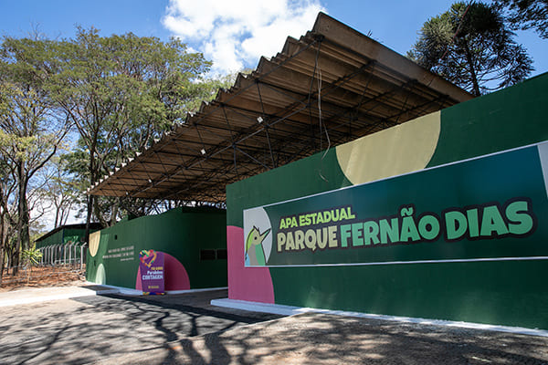 Colônia de férias gratuita no Parque Fernão Dias, em Contagem