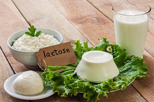 Fabricantes terão que indicar presença de lactose no rótulo de alimentos
