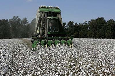 EUA se comprometem a pagar ao Brasil compensação por algodão até 2012