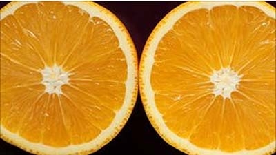 Nova técnica quer converter casca de laranja em biocombustível