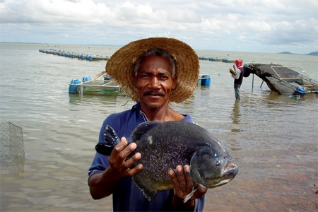 Três Marias vai produzir 2 mil toneladas de peixes por ano, segundo ministro