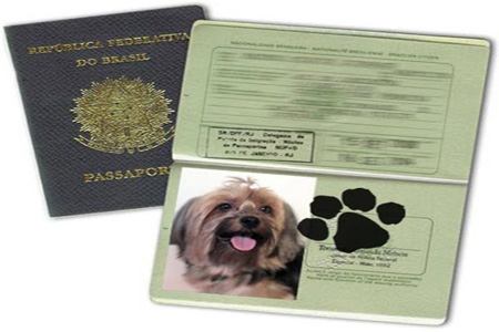Cães e gatos de estimação podem adquirir passaporte para trânsito nacional e internacional