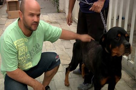 Morador de Contagem resgata cadela abandonada em oficina mecânica 