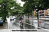 IMG_8653.jpg