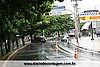 IMG_8661.jpg