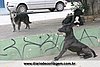 IMG_1983.jpg