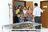 IMG_7262.jpg