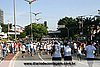 IMG_2362.jpg