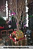 IMG_2173.jpg