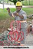 IMG_2782.jpg