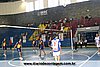 IMG_2290.jpg