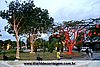 IMG_3131.jpg