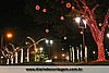 IMG_6621.jpg