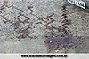 IMG_9836.jpg