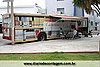IMG_2609.jpg