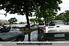 IMG_5111.jpg