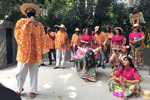 Boi Rosado no Carnaval da resistência em BH e Contagem