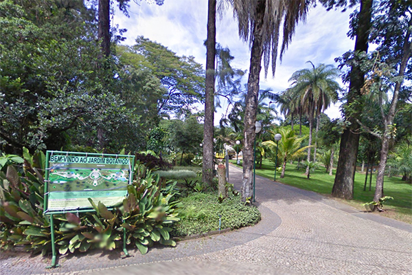Fundação Zoo-Botânica, em BH, é opção de lazer no feriado