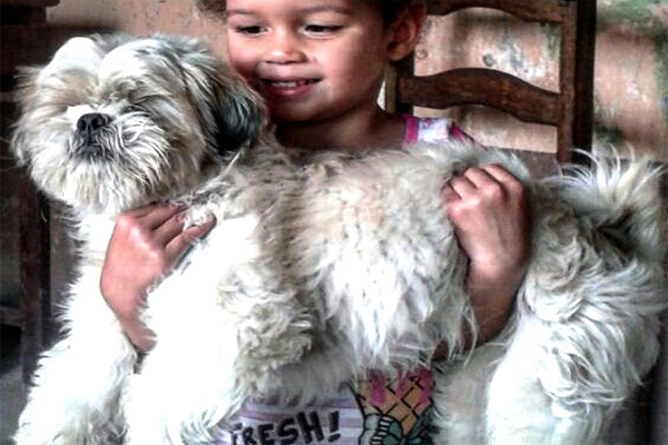 Cachorrinha desaparecida, ajudem! 