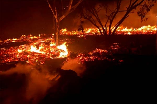 Incêndio destrói empresa de reciclagem e mata ao redor, em Contagem