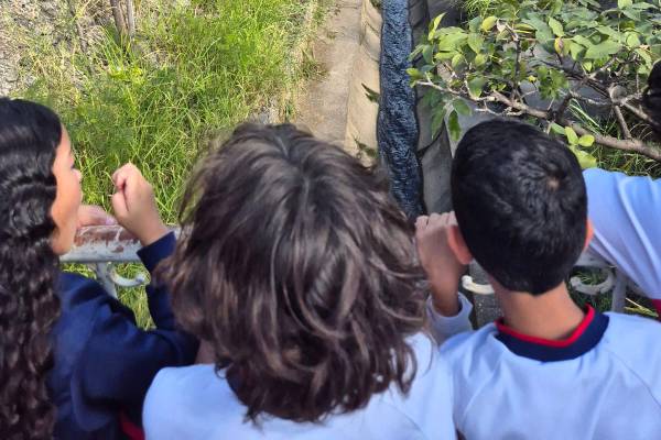 Ação quer salvar Riachinho e última área verde do Jardim Riacho das Pedras