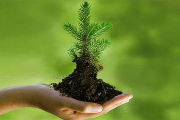 BH oferece atividades de educação ambiental