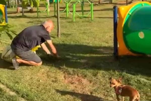Parcão segue sem manutenção e sem condições de utilização