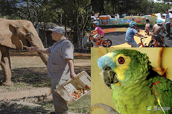 Zoológico de BH tem programação especial de Dia das Crianças