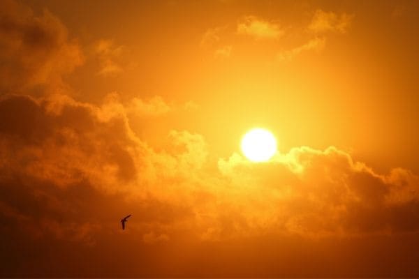 Prepare-se: ainda vem muito calor por aí