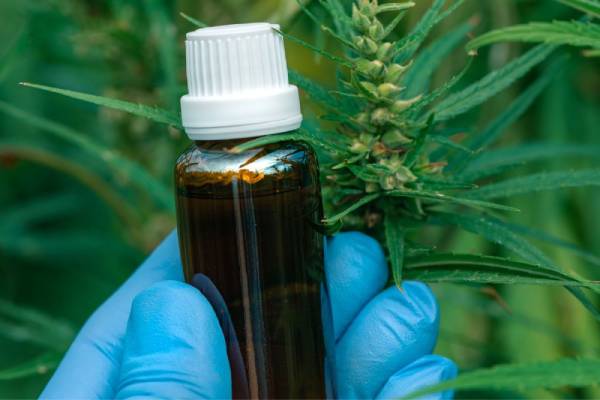 TJMG garante canabidiol gratuito para criança autista em Vespasiano