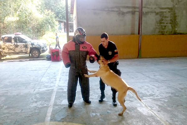 Guarda Municipal de Contagem terá policiamento com cães