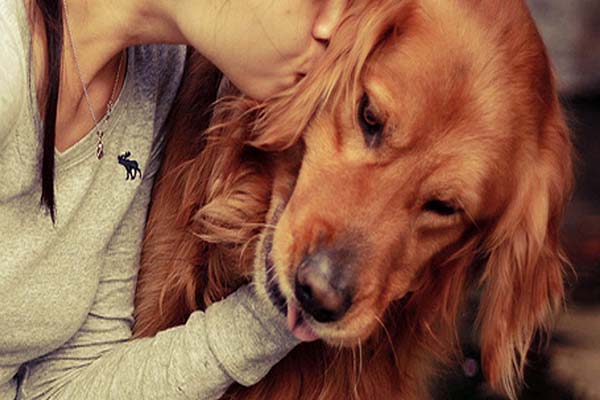 Curso aborda bem estar animal, em Contagem