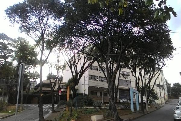 Leitor reclama de podas de árvores no bairro JK